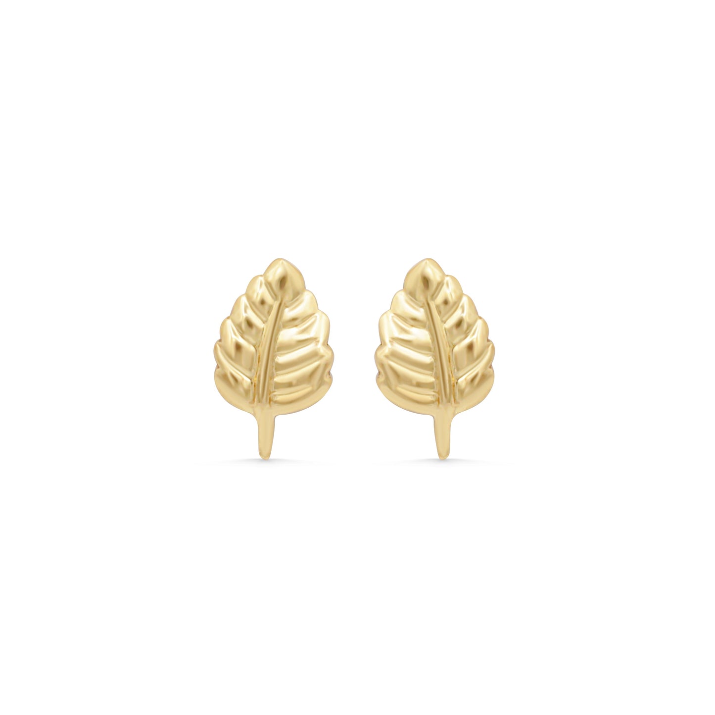 Leaf studs - 14K gold filled - Wholesale